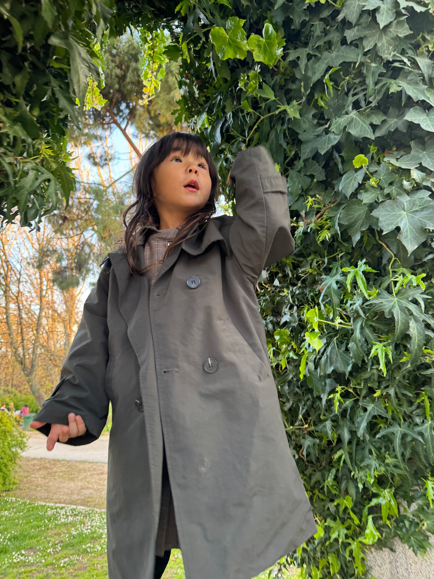The Trench Coat