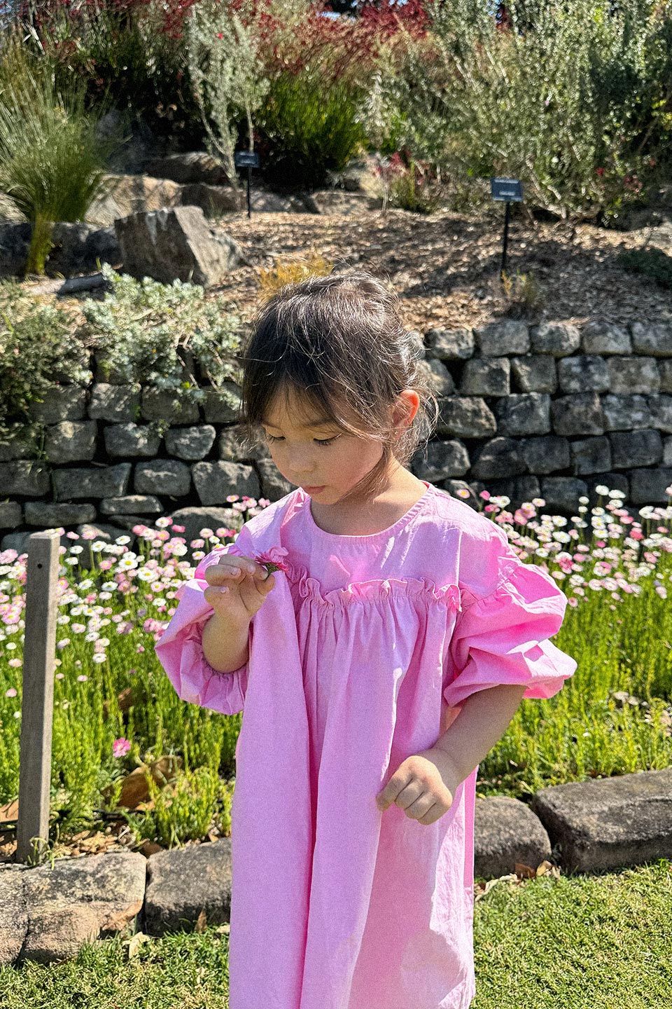 Pink Obsession Dress - Sailor and Sunny